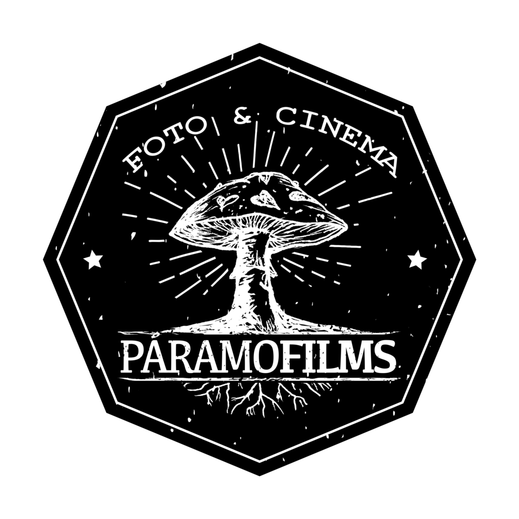LOGO PARAMOFILMS